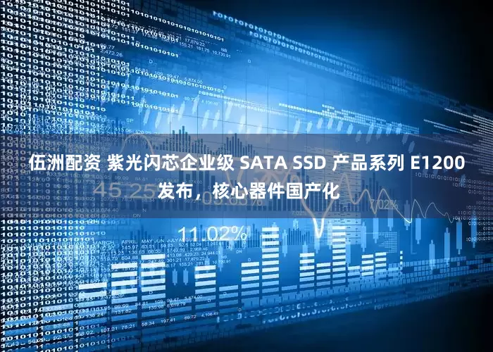 伍洲配资 紫光闪芯企业级 SATA SSD 产品系列 E1200 发布，核心器件国产化