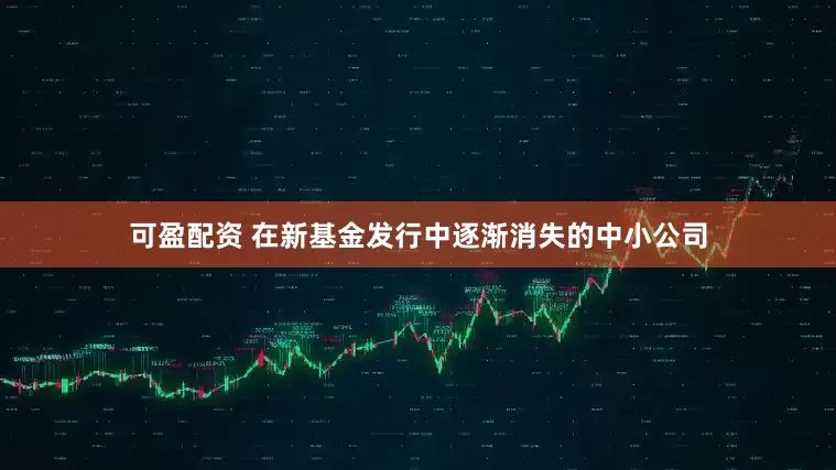 可盈配资 在新基金发行中逐渐消失的中小公司