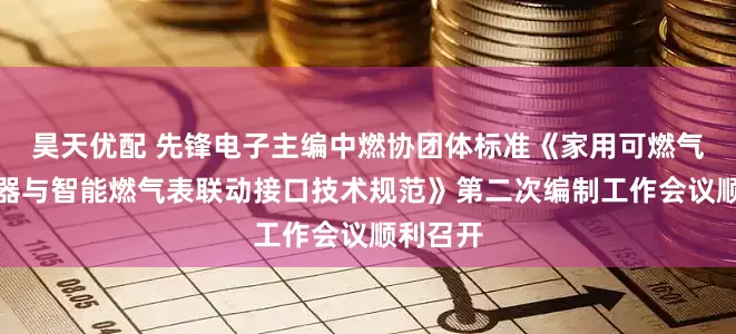 昊天优配 先锋电子主编中燃协团体标准《家用可燃气体探测器与智能燃气表联动接口技术规范》第二次编制工作会议顺利召开